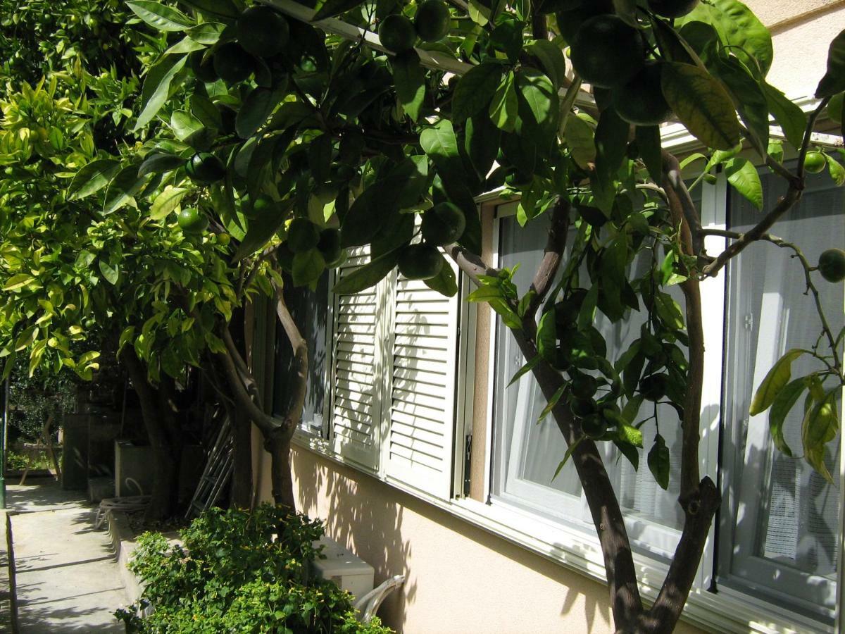 Apartman Paro 스플리트 외부 사진